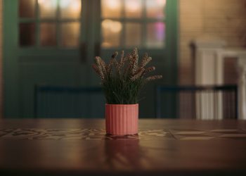 Table pliante rectangulaire : quels sont les modèles proposés ?